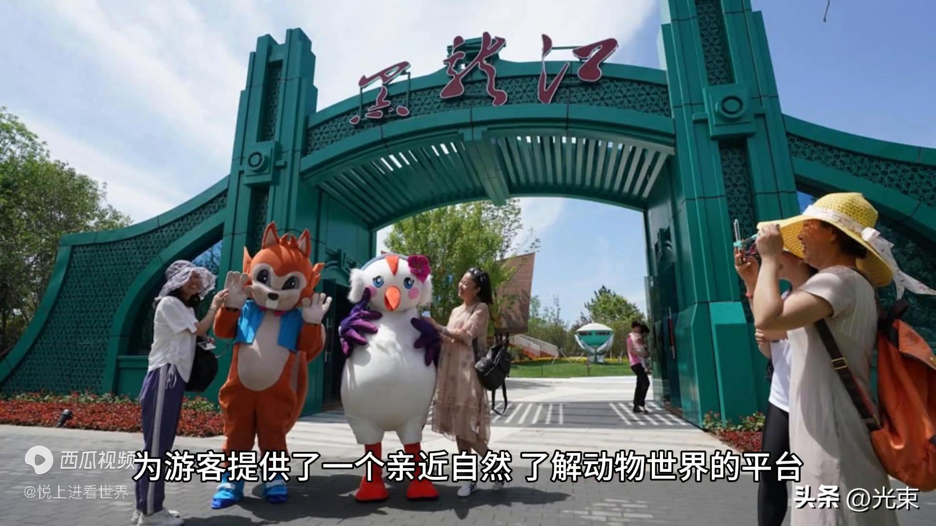 佳木斯市健身_佳木斯健身完整版_佳木斯健身俱乐部